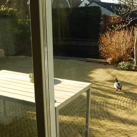 New West - Free Parking