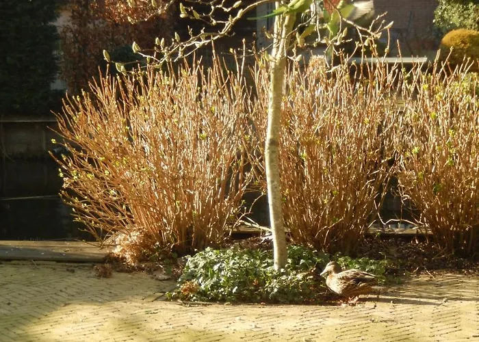 New West - Free Parking Nocleg ze śniadaniem