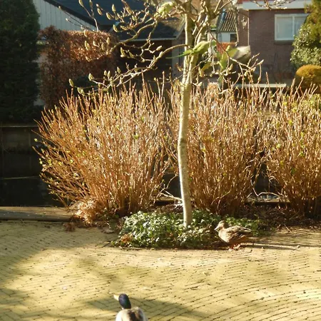 New West - Free Parking Bed and Breakfast