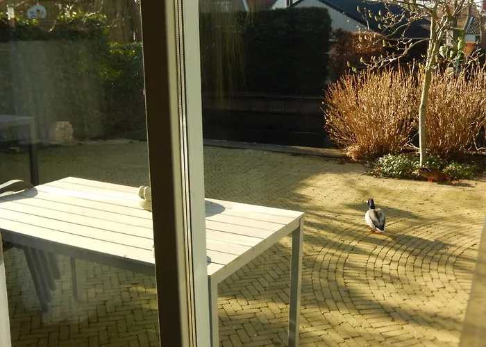 New West - Free Parking